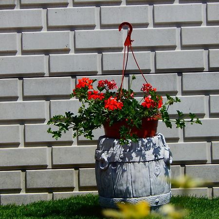 Luna Vendeghaz Siófok Exterior foto