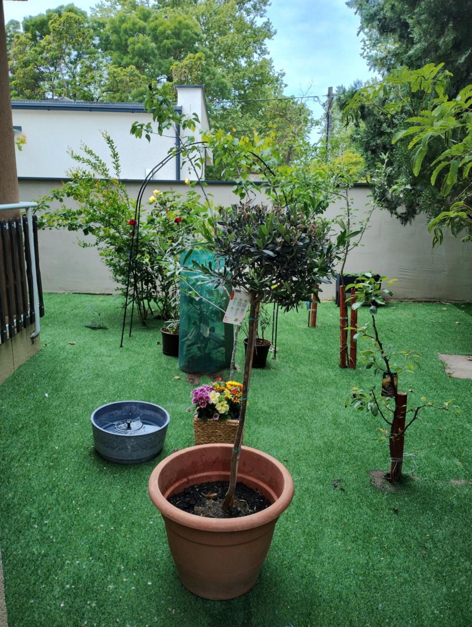 Luna Vendeghaz Siófok Exterior foto